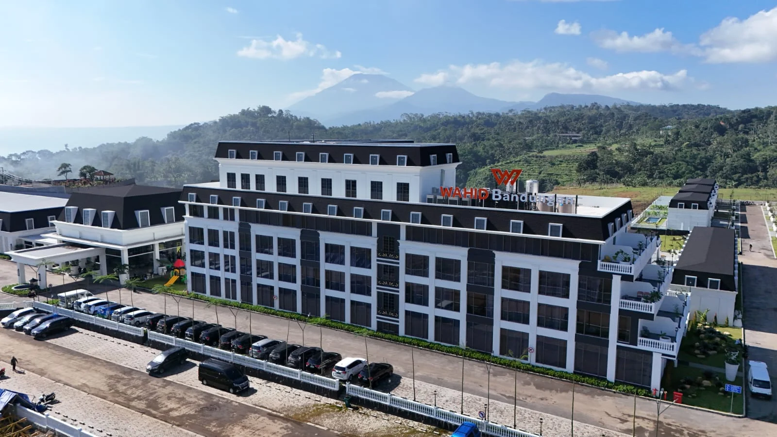 WhatsApp Image 2026-02-21 at 13.51.46